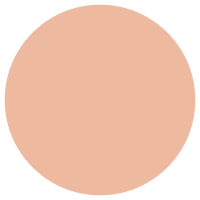 Shade 17